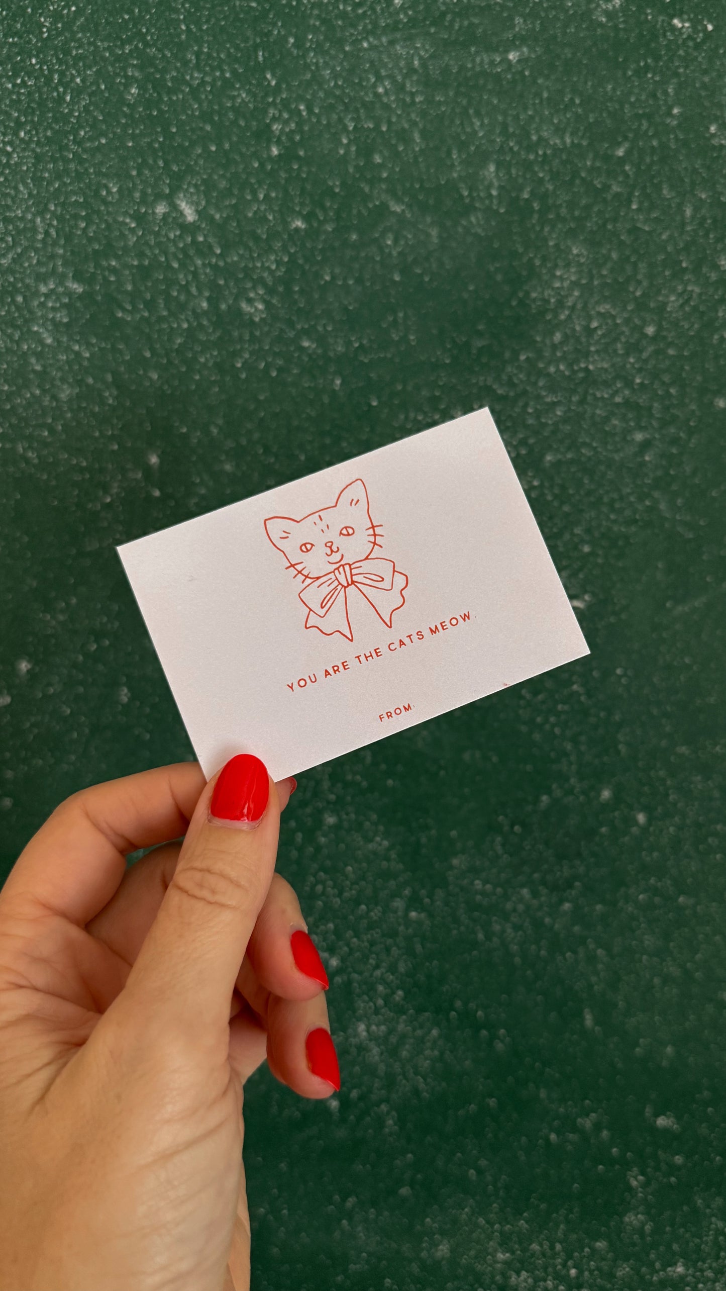 CAT'S MEOW (by Jessica Garvin)